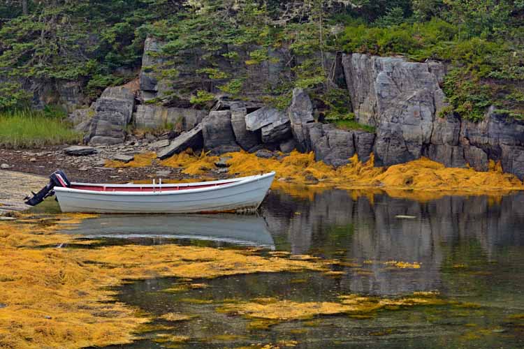 boat in water